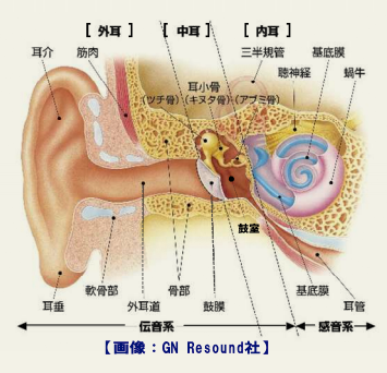 耳のはなし 君津健康センター