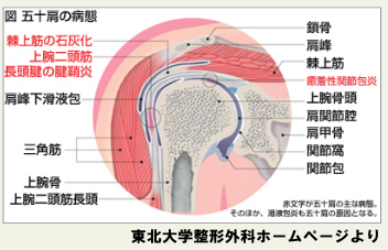 50十 