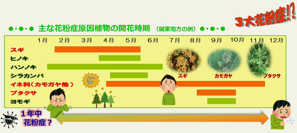 花粉症について | 君津健康センター